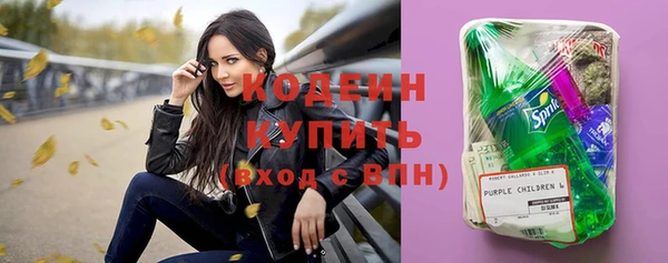 индика Болотное