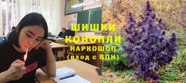 apvp Болохово