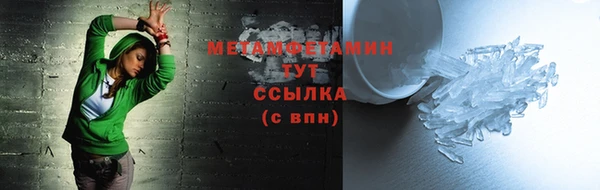 индика Болотное