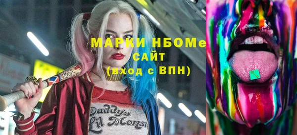 индика Болотное