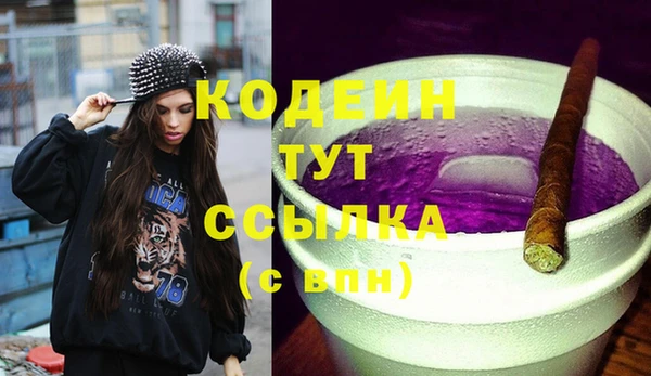дмт Новодвинск
