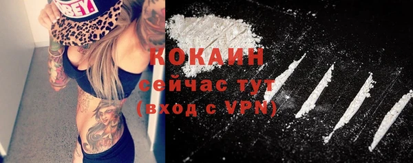 apvp Болохово