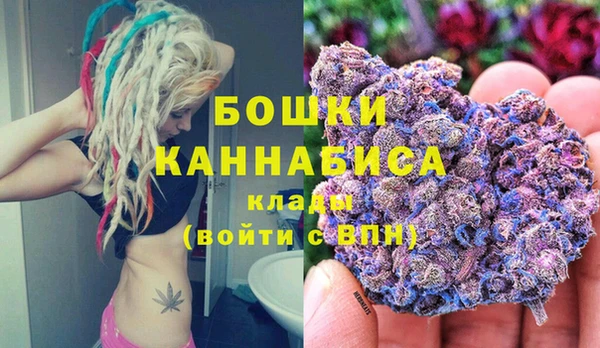 дмт Новодвинск