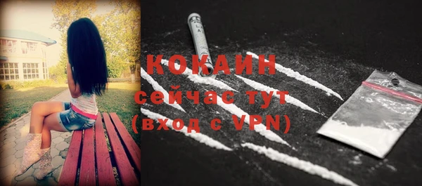 дмт Новодвинск