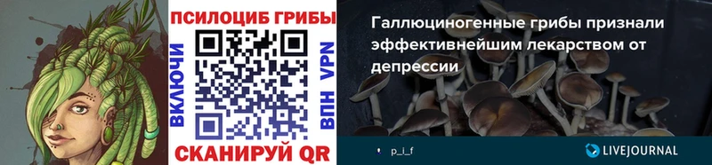 купить  сайты  Шацк  Галлюциногенные грибы GOLDEN TEACHER 